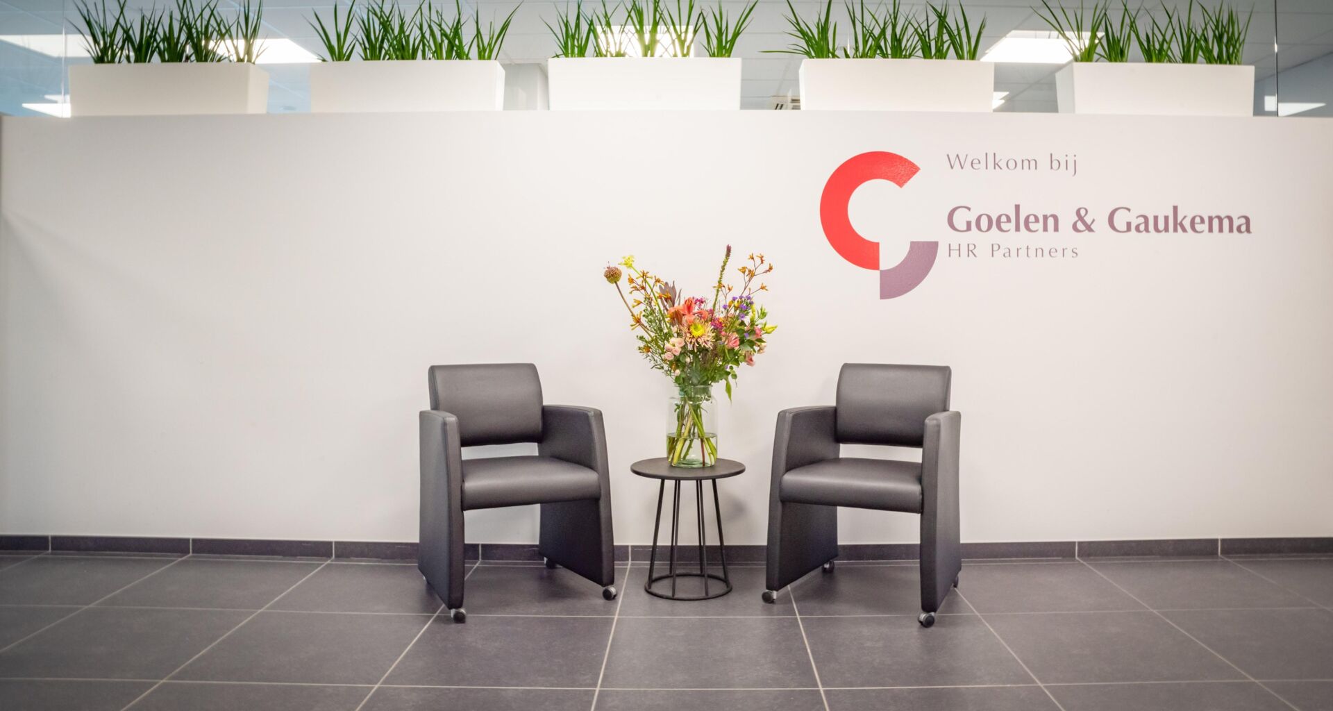 _DSC1184-bewerkt _DSC1184-bewerkt